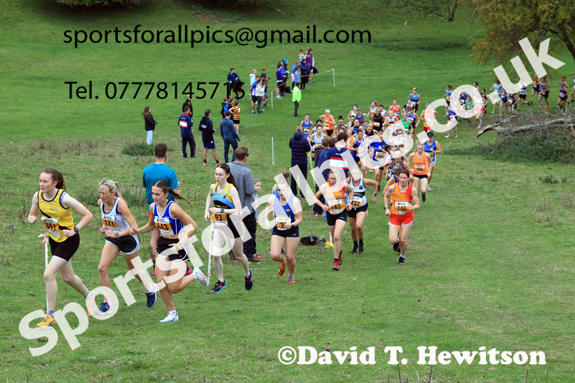 Senior Womens 2025 Start Fitness NEHL, Thornley Hall Farm, Peterlee, County Durham. Photo: David T. Hewitson/Sports for All Pics